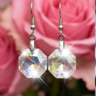 Octagonal Prismatic Earrings